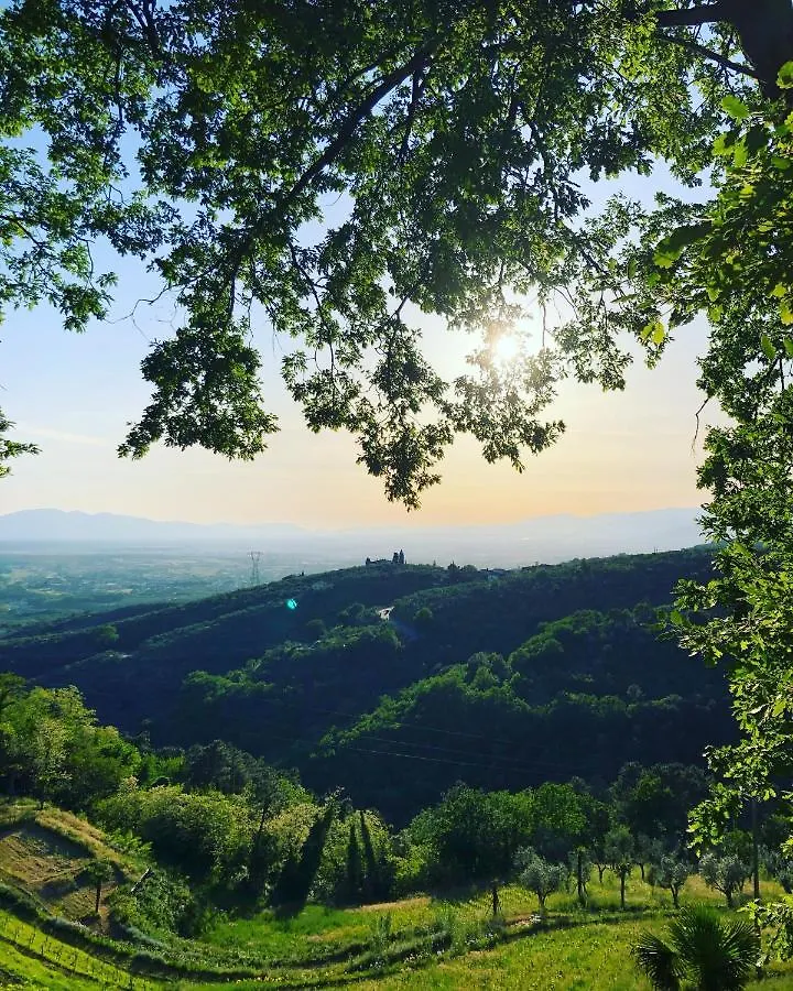 Villa Del Parco In Tuscany San Baronto